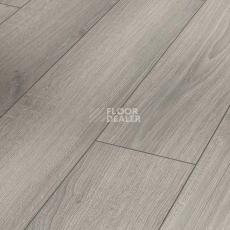 Ламинат Parador Classic 1050 4V 1744696 Дуб Studioline Светло-серый фото 1 | FLOORDEALER